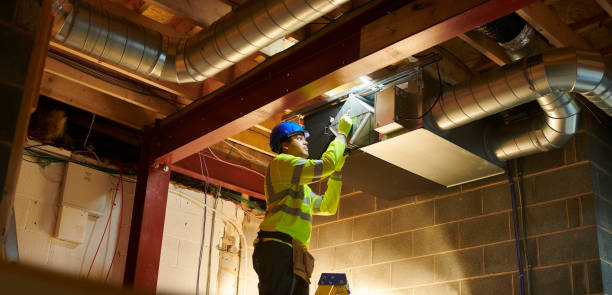 Best Residential Air Duct Cleaning  in Nowthen, MN