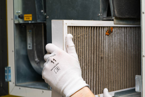 Best Affordable HVAC Duct Cleaning  in Nowthen, MN